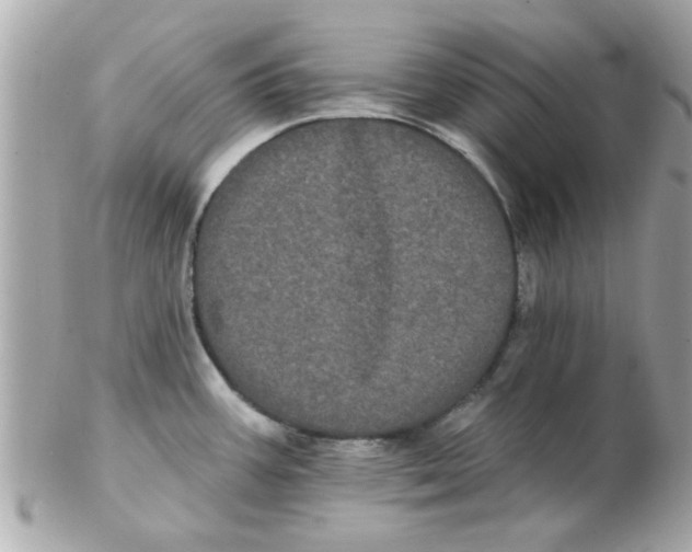 X0000102531387200808291810