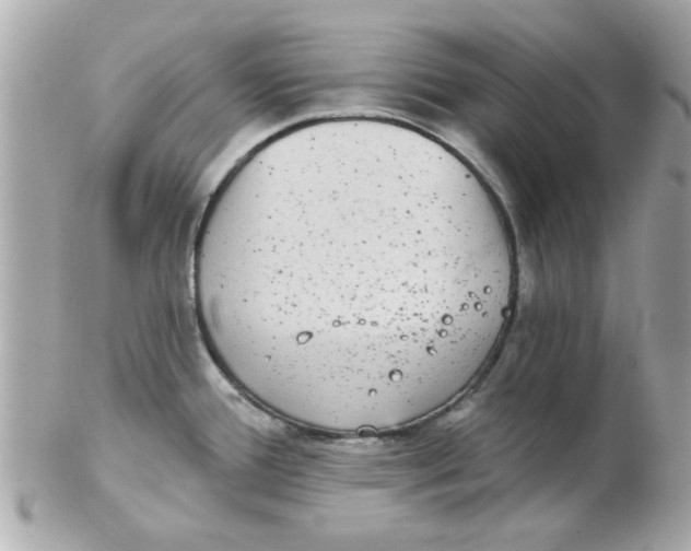 X0000102531388200808291810