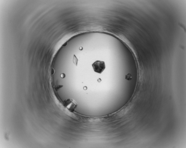 X0000102531389200808291810