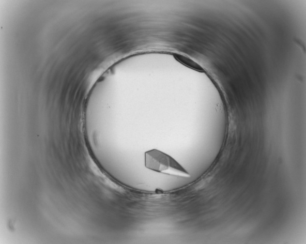 X0000102531390200808291810