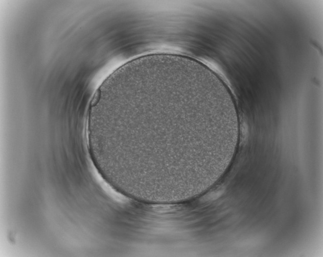 X0000102531391200808291810