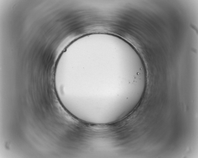 X0000102531392200808291810