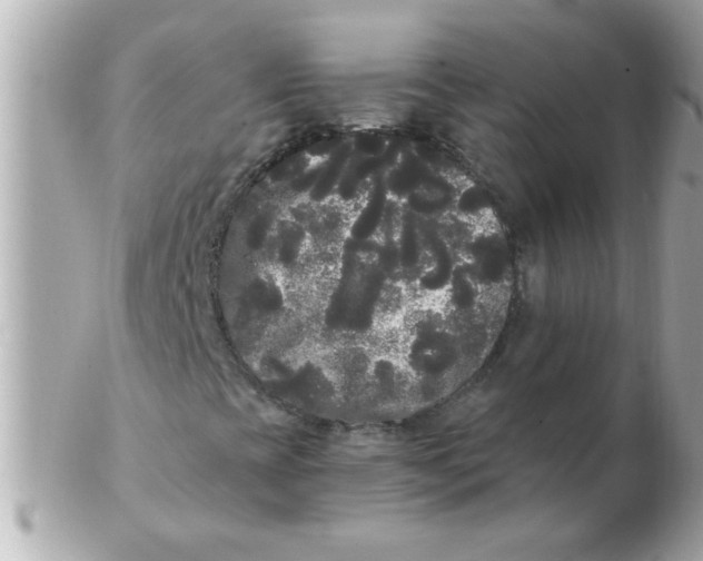 X0000102531393200808291810