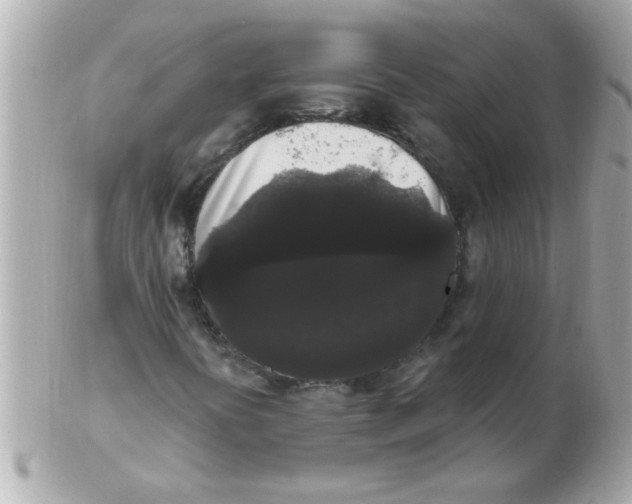 X0000102531394200808291810