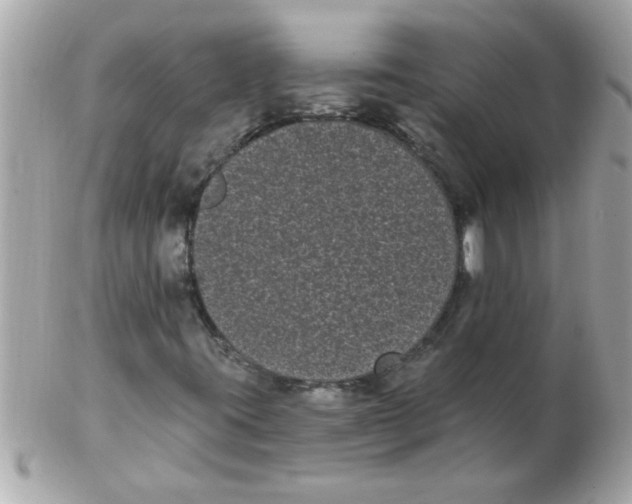 X0000102531395200808291810