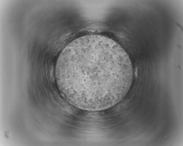 X0000102531396200808291810