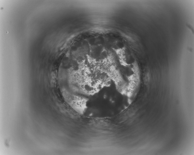 X0000102531397200808291810