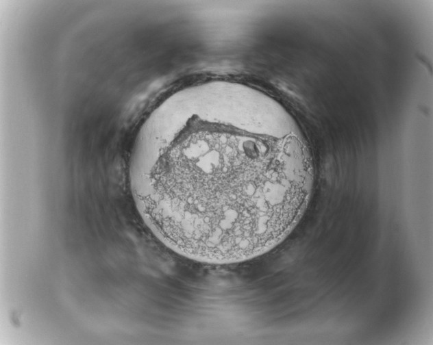 X0000102531398200808291810