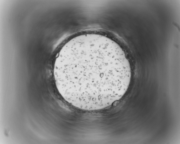 X0000102531400200808291810