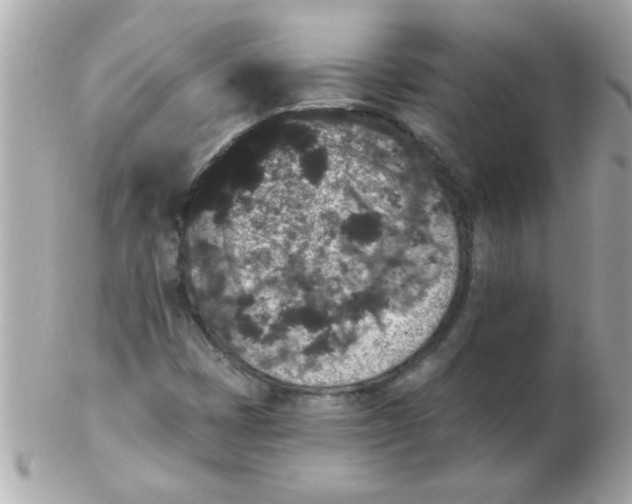 X0000102531401200808291810