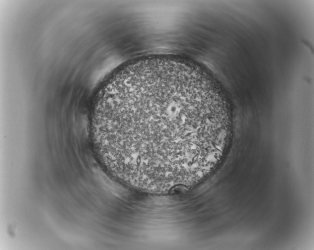 X0000102531402200808291810