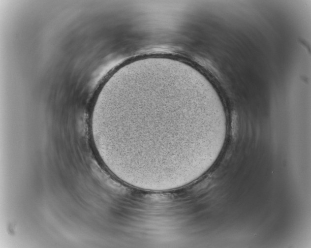 X0000102531404200808291810