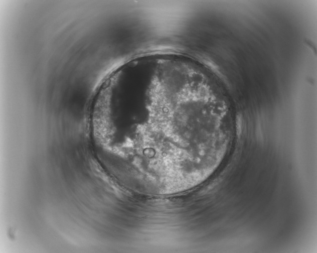 X0000102531405200808291810