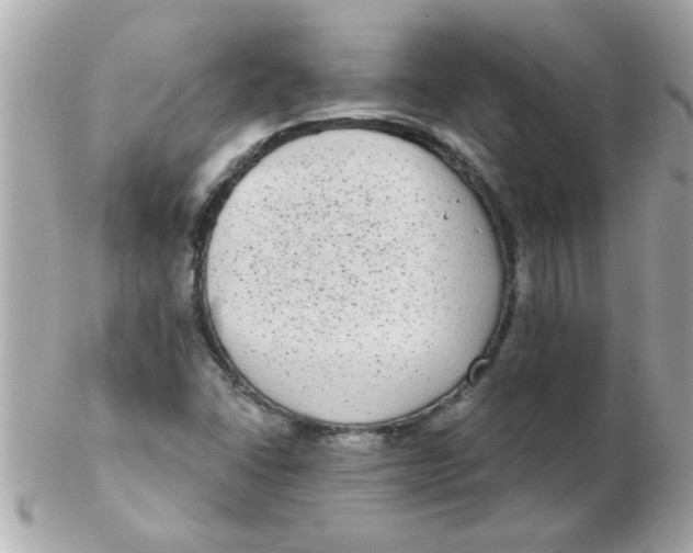 X0000102531406200808291810