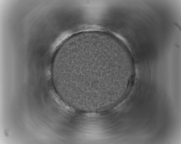 X0000102531407200808291810