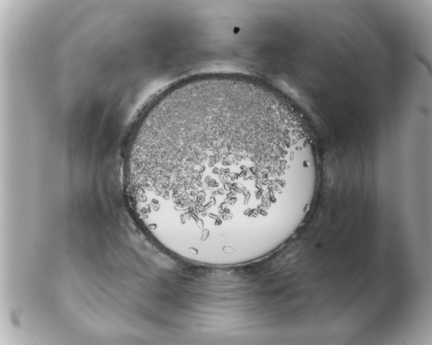 X0000102531408200808291810