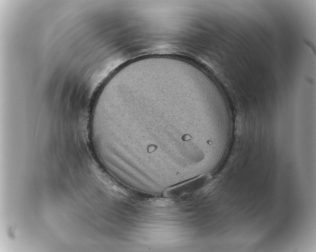 X0000102531410200808291810