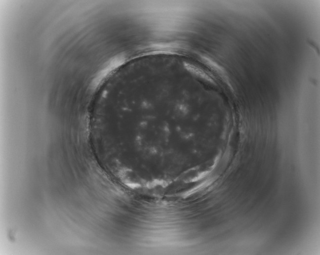 X0000102531411200808291810