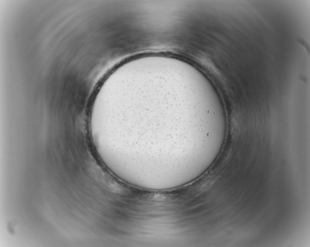 X0000102531412200808291810