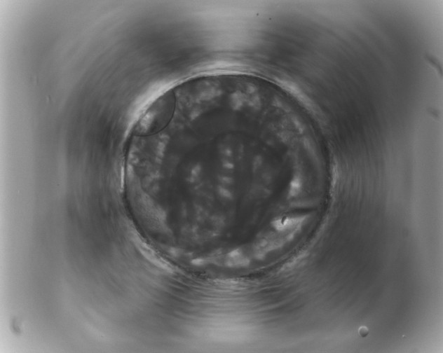 X0000102531413200808291810