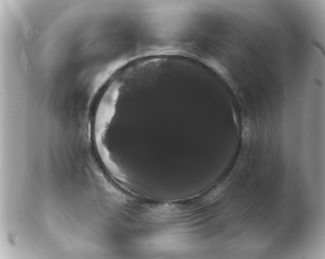 X0000102531414200808291810