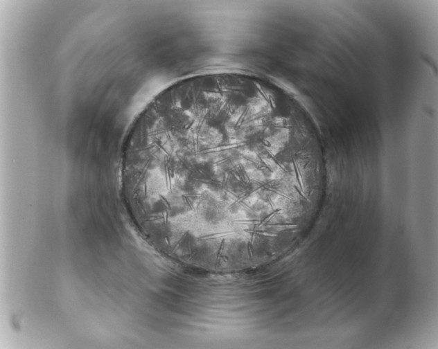 X0000102531415200808291810