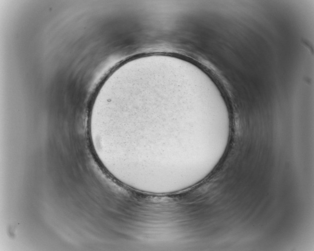 X0000102531416200808291810