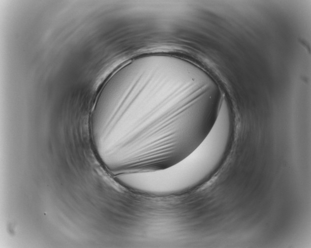 X0000102531417200808291810