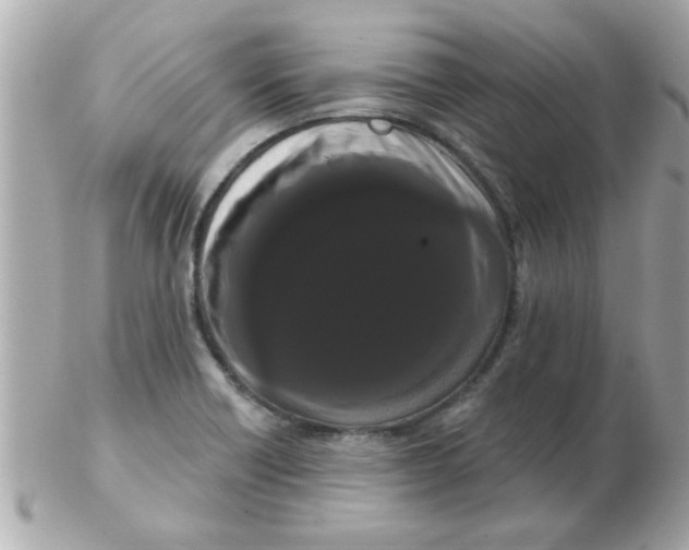 X0000102531418200808291810