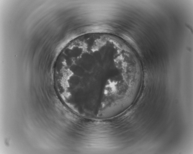 X0000102531419200808291810