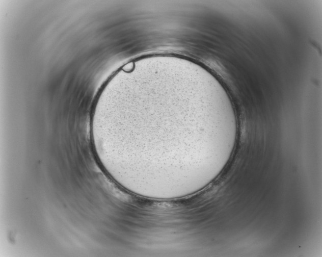 X0000102531420200808291810