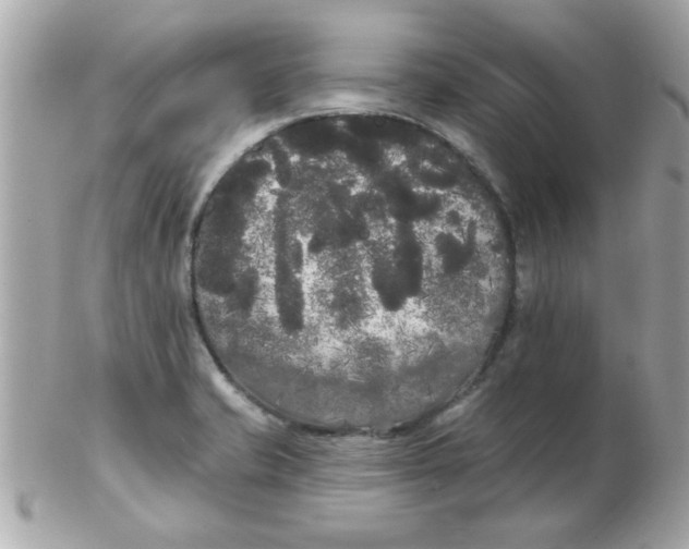 X0000102531421200808291810