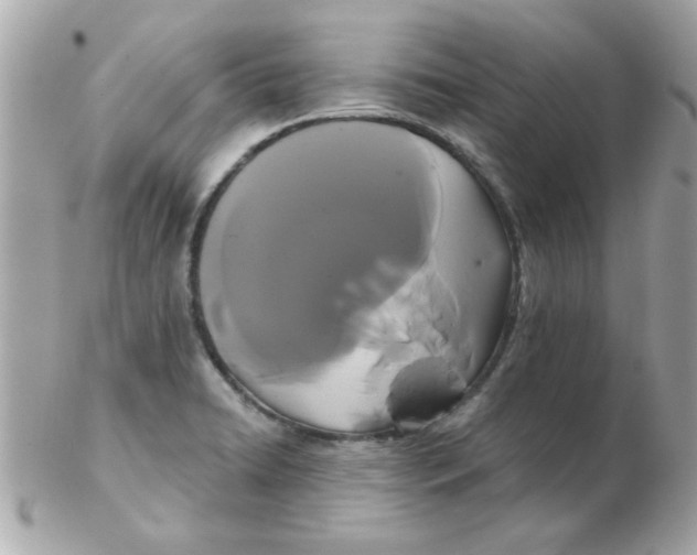 X0000102531422200808291810