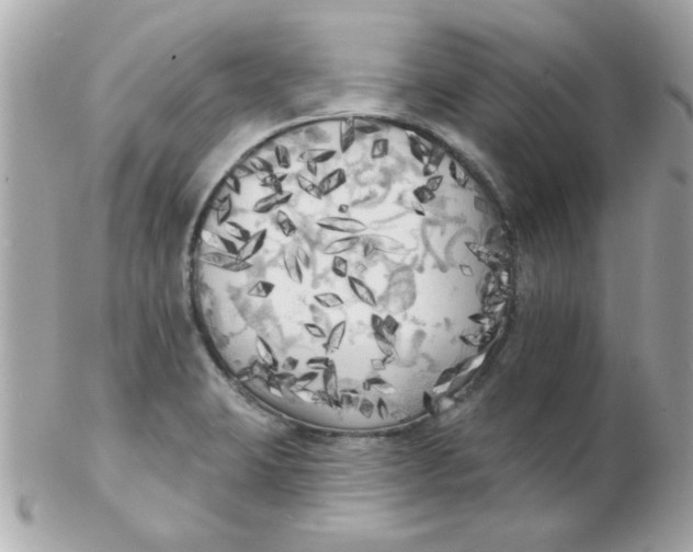 X0000102531423200808291810