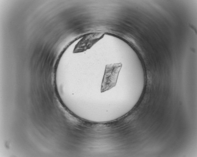 X0000102531424200808291810