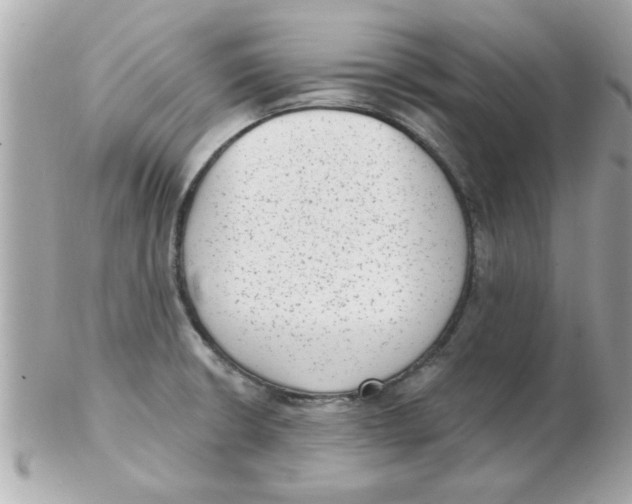 X0000102531426200808291810