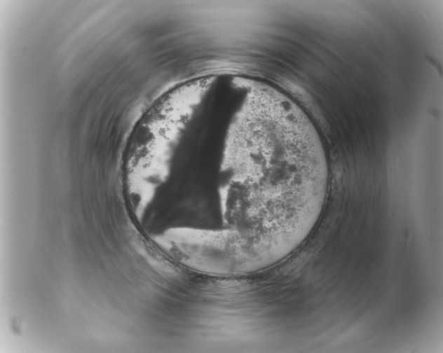 X0000102531427200808291810