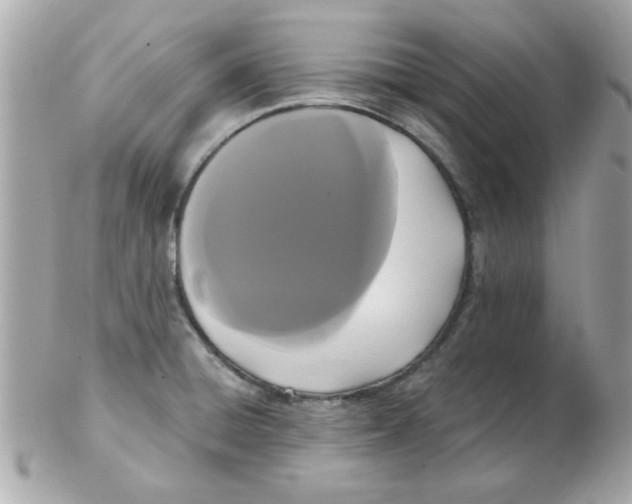 X0000102531428200808291810