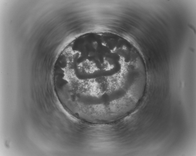 X0000102531429200808291810