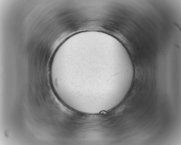 X0000102531430200808291810