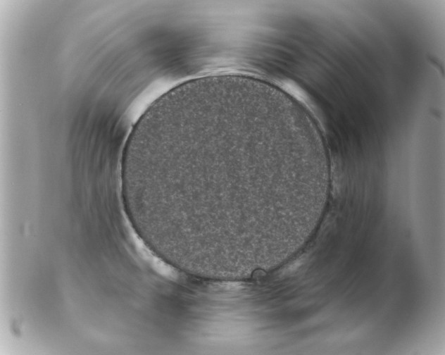 X0000102531431200808291810