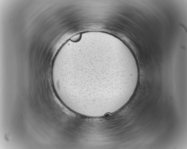 X0000102531432200808291810