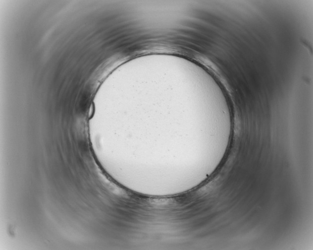 X0000102531433200808291810