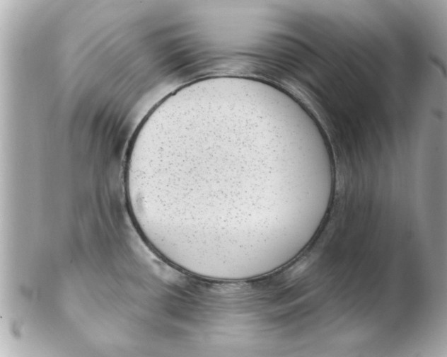 X0000102531434200808291810