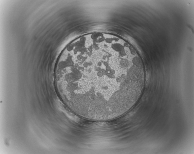 X0000102531435200808291810