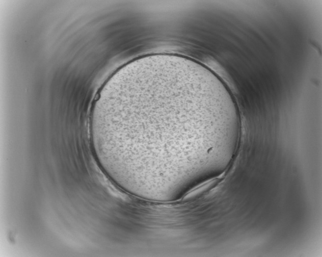 X0000102531436200808291810