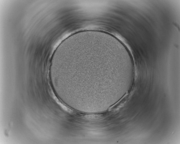 X0000102531437200808291810