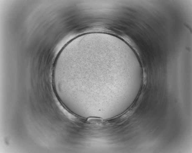 X0000102531438200808291810