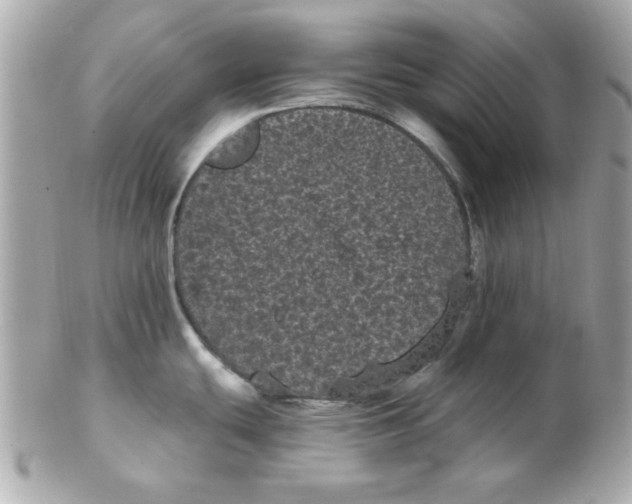 X0000102531439200808291810