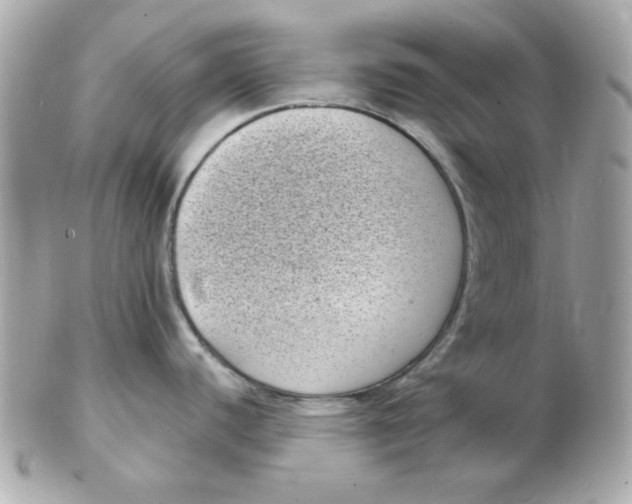 X0000102531440200808291810